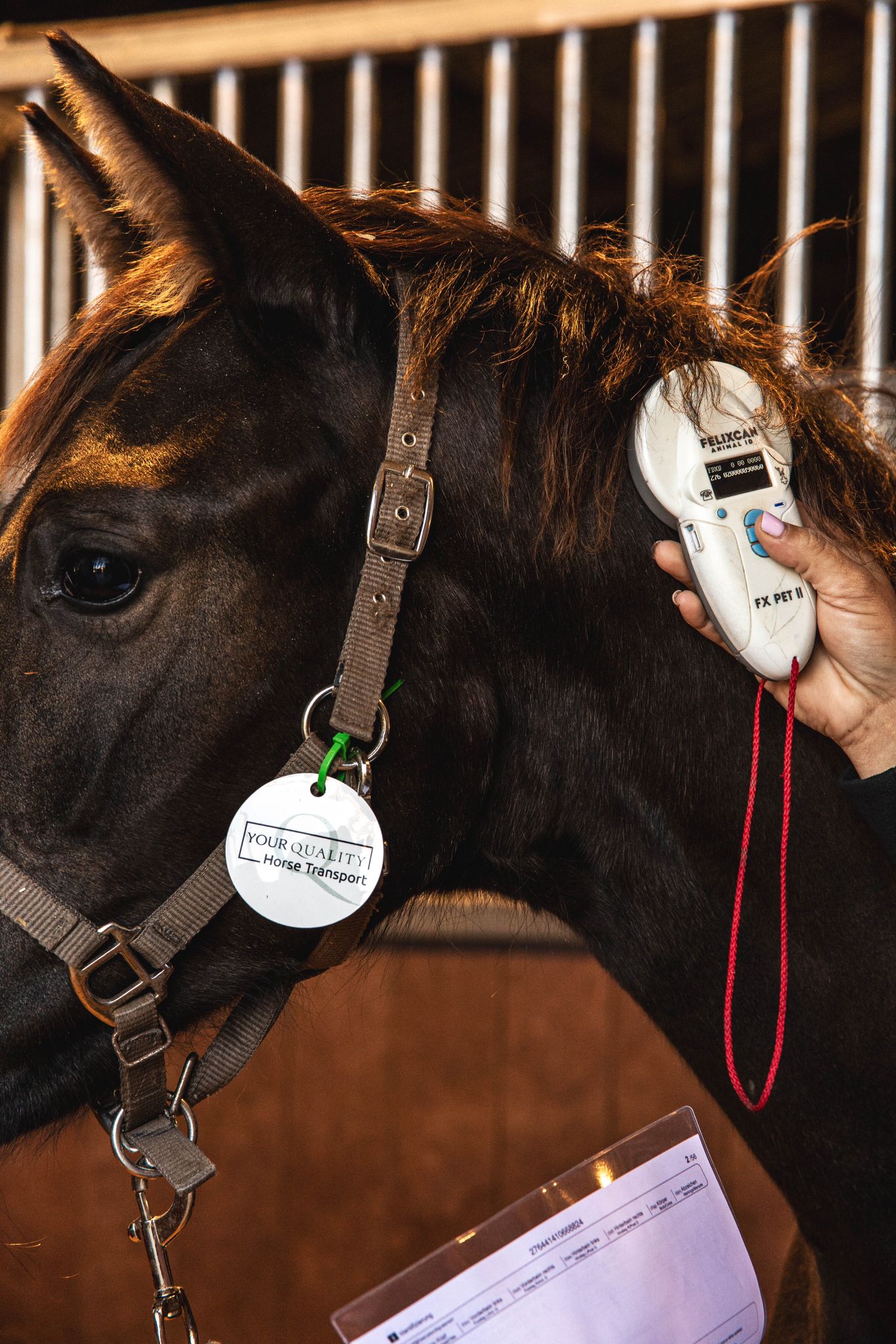 Voortdurende Monitoring