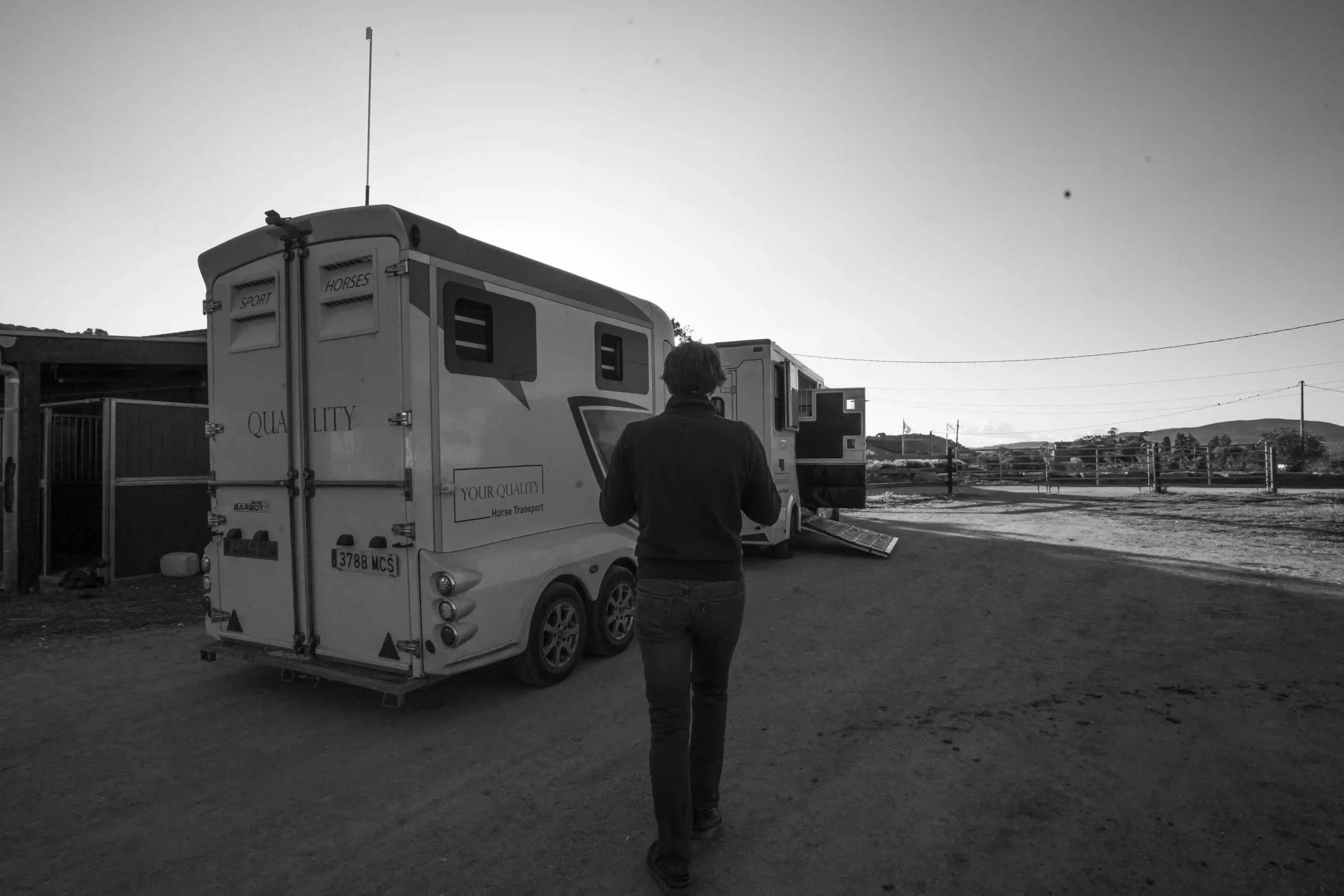 Furgoneta caballos vs. Van de remolque: Análisis técnico profundo para el transporte ecuestre