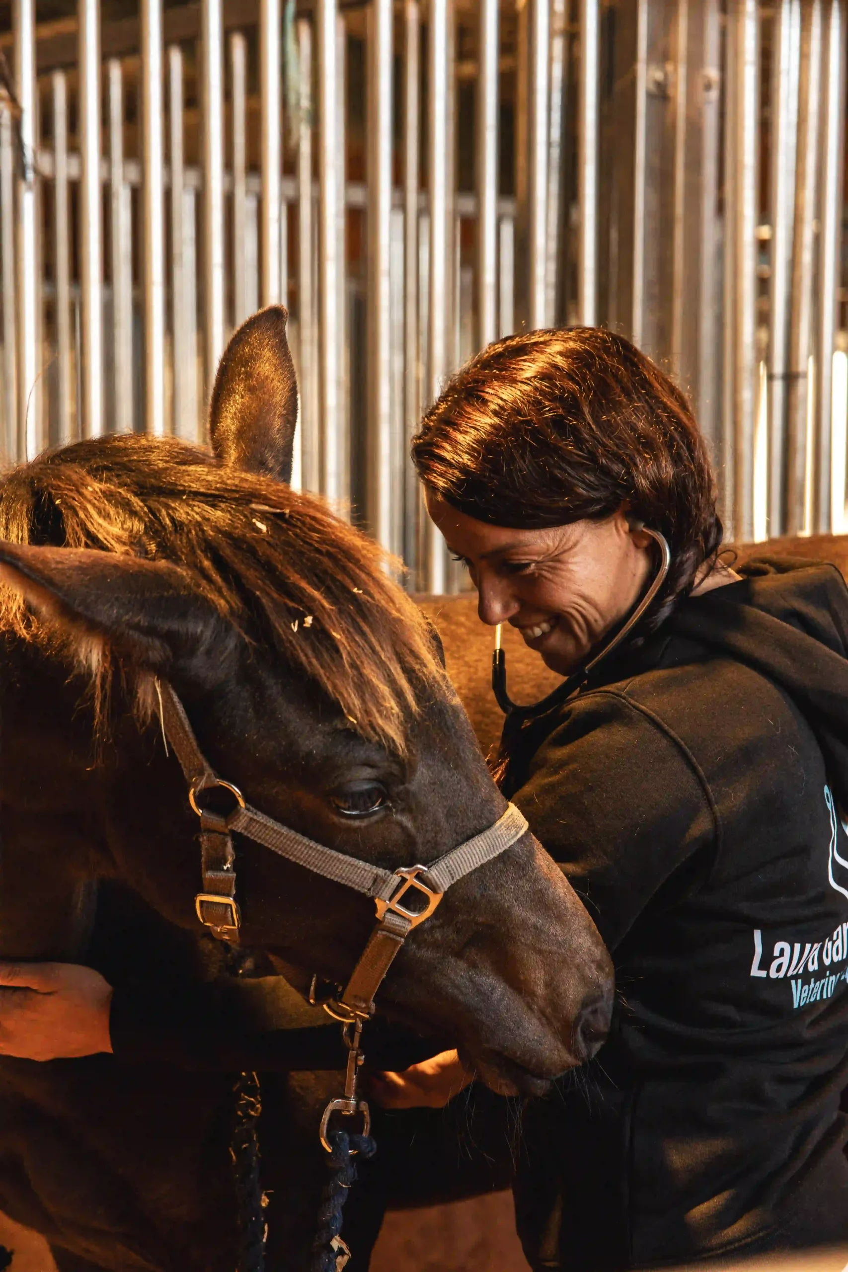 Cómo Preparar un Caballo para un Viaje Largo: Guía Completa (2026)