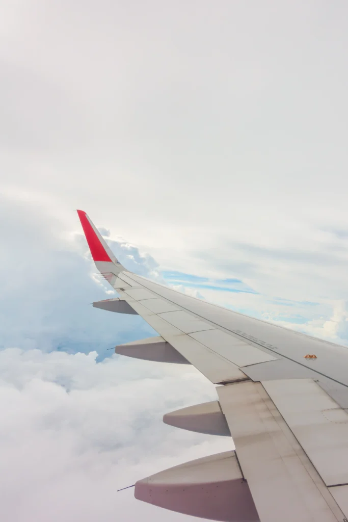Transporte de Caballos en Avión: Cómo Funciona y Qué Debes Saber (2026)