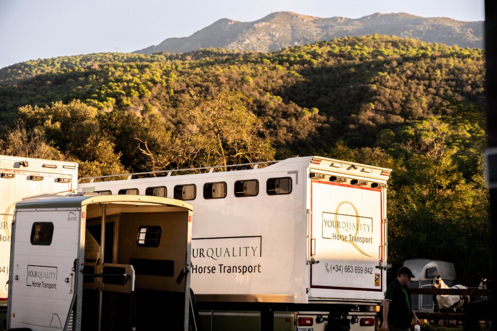¿Alquilar un van para caballos o contratar transporte? Pros y Contras