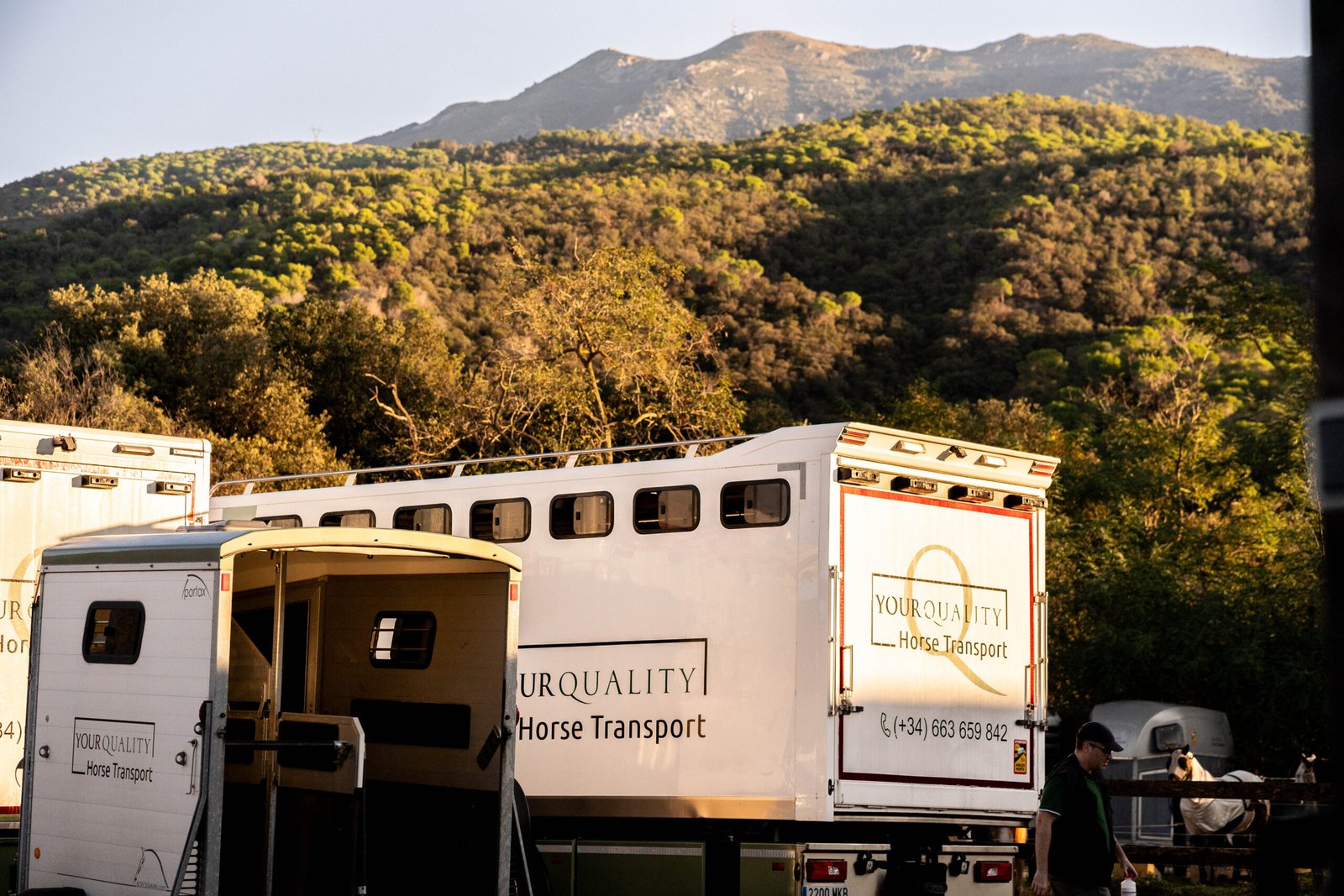 ¿Alquilar un van para caballos o contratar transporte? Pros y Contras