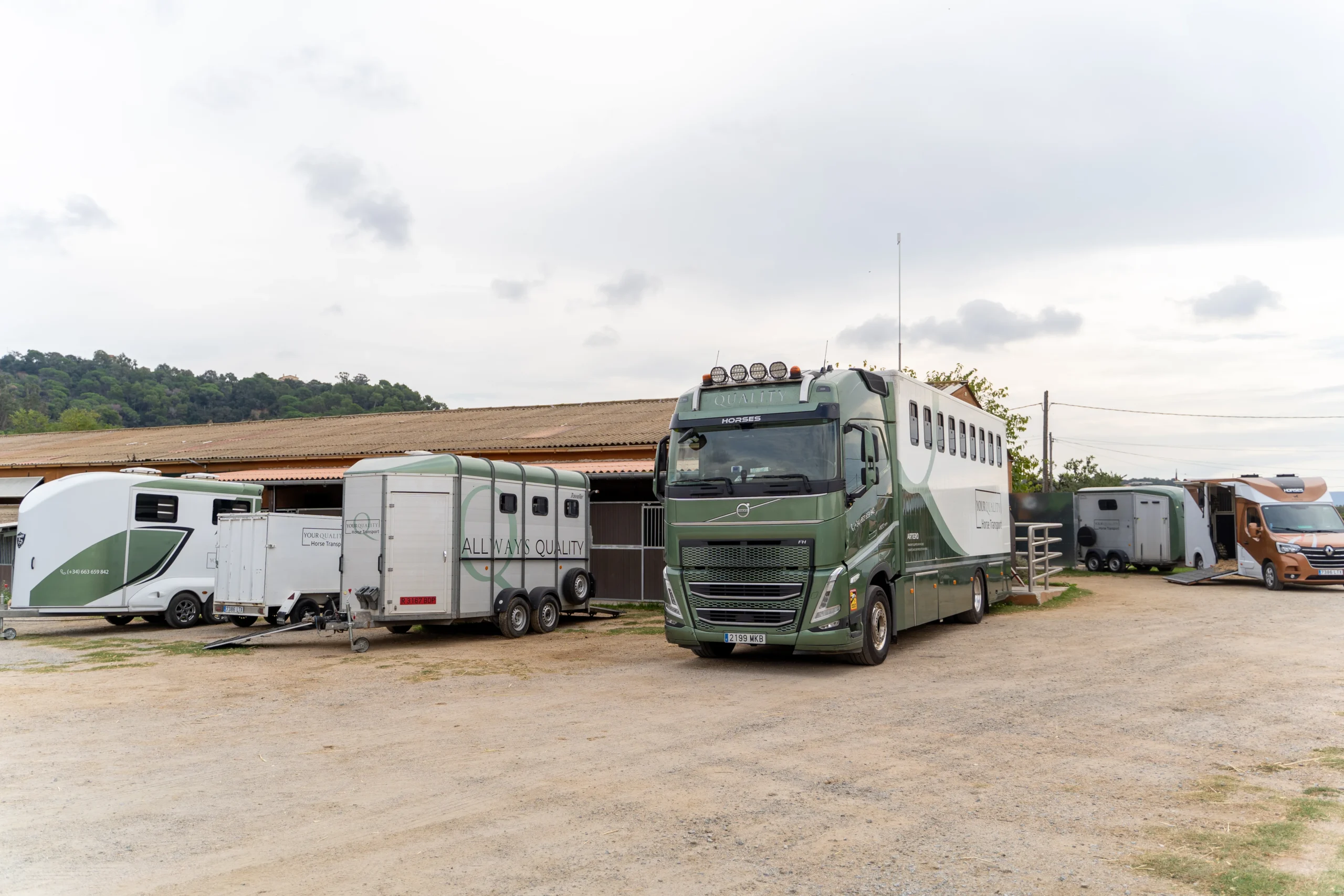 Transporte de caballos en barco: Logística, cuidados y rutas en ferry