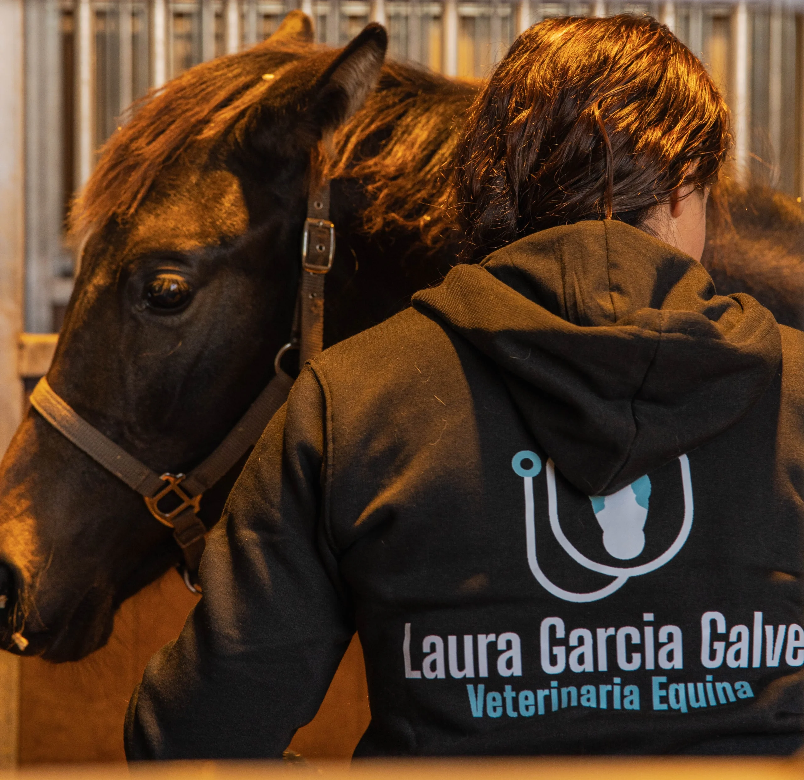 Stud Farm: Operations, concepts, and basic breeding vocabulary