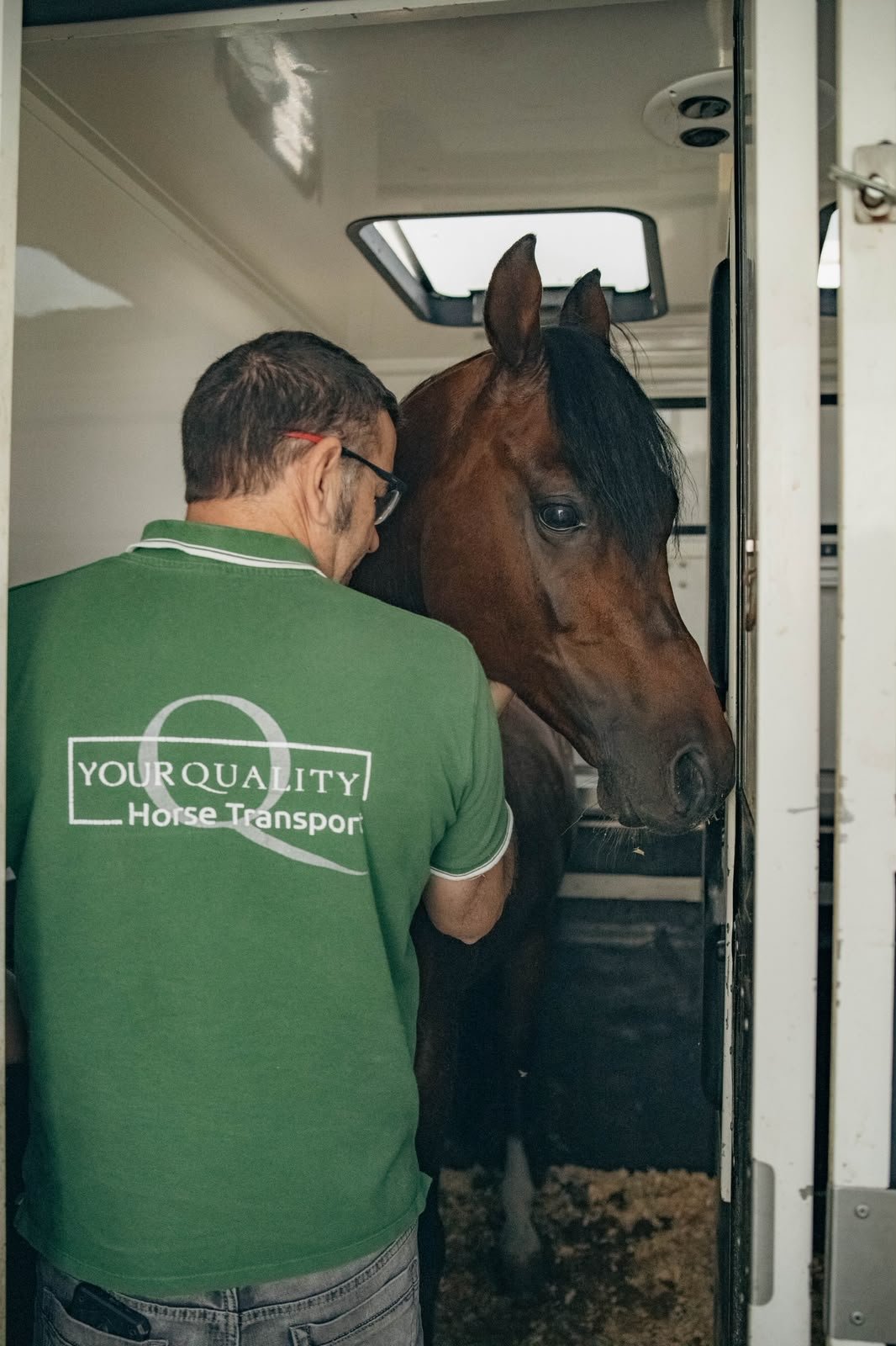 Operario con el polo de Your Quality Horse Transport durante el embarque de un caballo